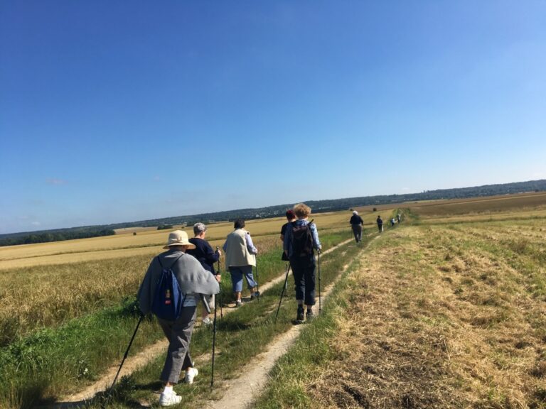 Marche active à travers les Yvelines – Inscrivez vous !